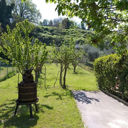 Casa Vacanze Tra Mare E Montemaggiore Дом отдыха Фано