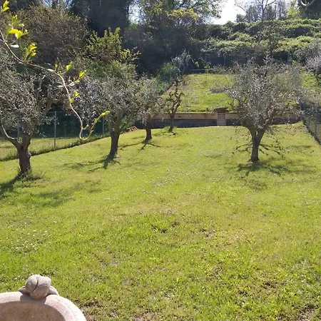 Casa Vacanze Tra Mare E Montemaggiore Дом отдыха Фано