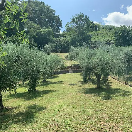 Casa Vacanze Tra Mare E Montemaggiore Дом отдыха